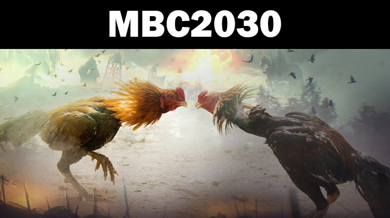 Mbc2030 