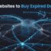 Best Websites To Buy Expired Domains