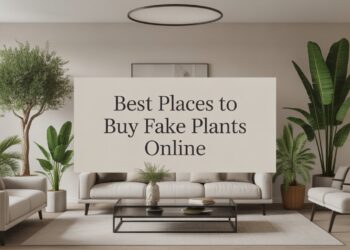 Best Places to Buy Fake Plants Online