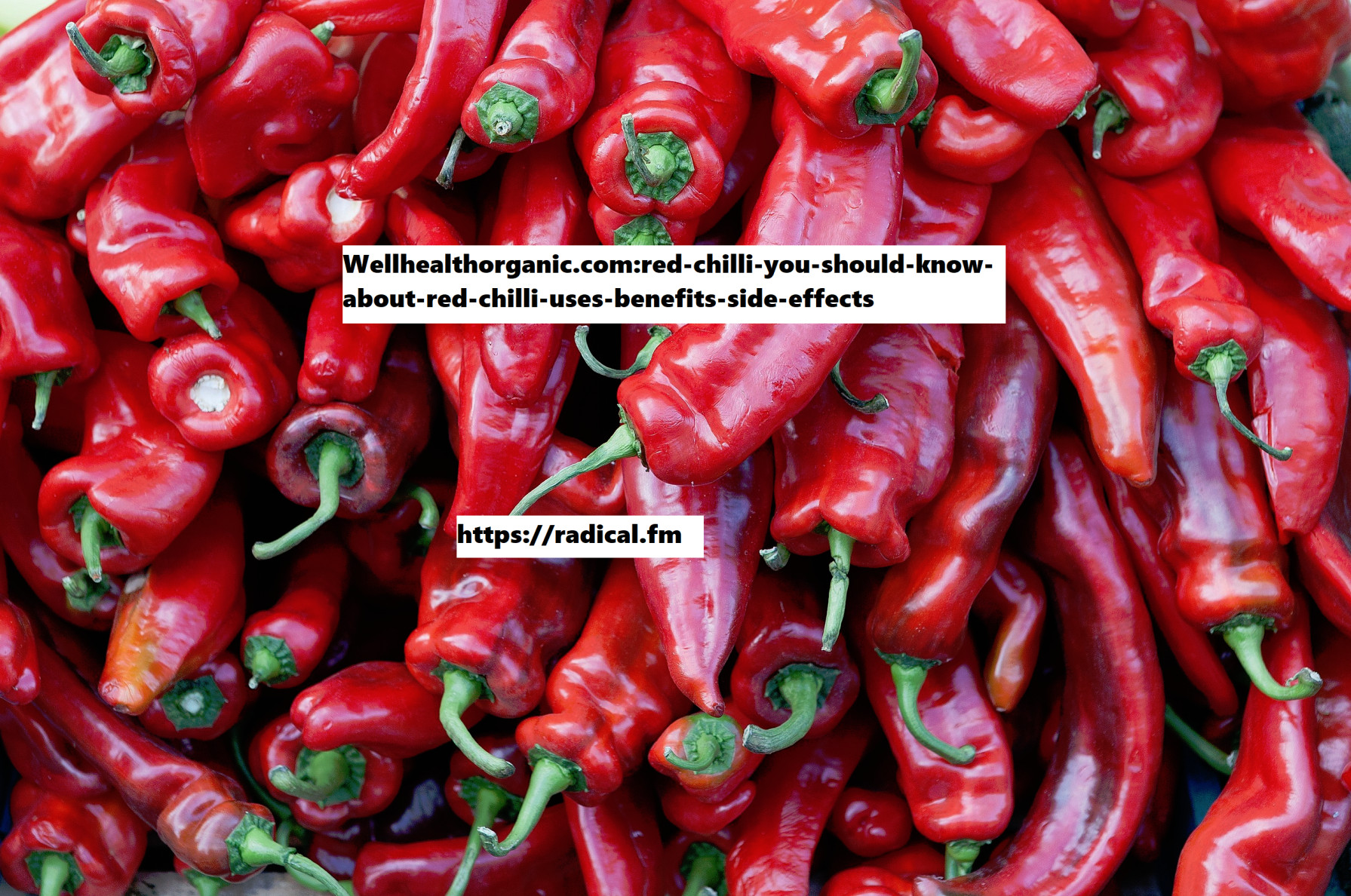 Wellhealthorganic.com:red-chilli-you-should-know-about-red-chilli-uses-benefits-side-effects