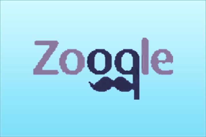 Zooqle Alternatives