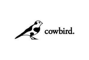 Cowbird