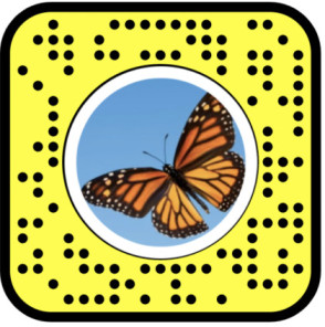 Unlock The Butterflies Lens On Snapchat
