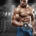 Wellhealth How to Build Muscle Tag