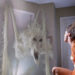 The 1982 Movie Poltergeist Used Real Skeletons As – Tymoff