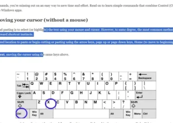 How to Use Cut, Copy, and Paste: Windows Keyboard Shortcuts Guide