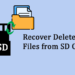 2 Best Ways to Recover Deleted Files from SD Cards