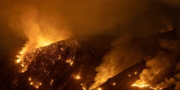 Los Angeles Wildfires Climate Crisis