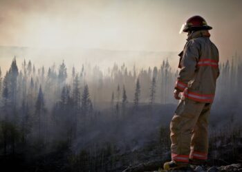 Understanding Los Angeles Wildfires