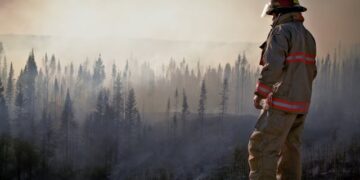 Understanding Los Angeles Wildfires