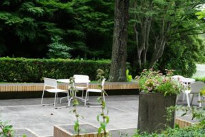 Bring in Greenery and Life