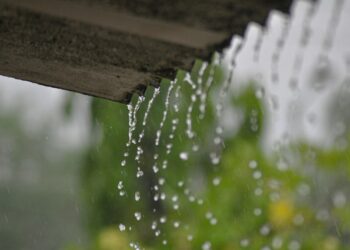 DIY Rainwater Collection System