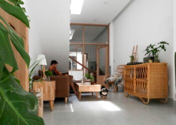 Eco-Friendly Home Improvement Ideas