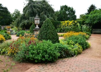 Low-Maintenance Landscaping Plants