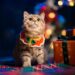 Pet Lovers Holiday Gifts