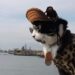 Pets Instagram-Worthy Photos