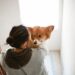 Pets Therapy Companions
