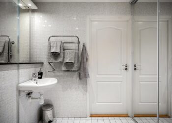 Remove Bathroom Mold and Mildew