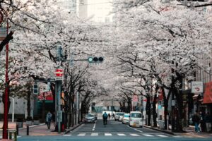 Tokyo Japan