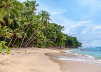 Best Caribbean Beach Destinations