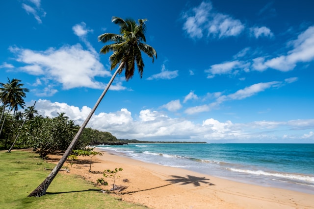 Dominican Republic