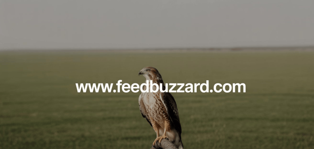 advertising feedbuzzard