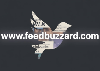 www. feedbuzzard com