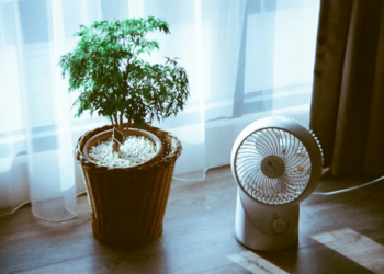 Improve Indoor Air Quality