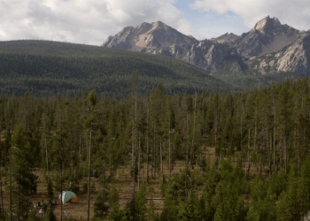 Camping in National Forest