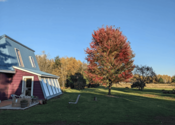 Fall Home Maintenance