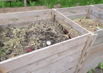 Gardeners Summer Composting Tips