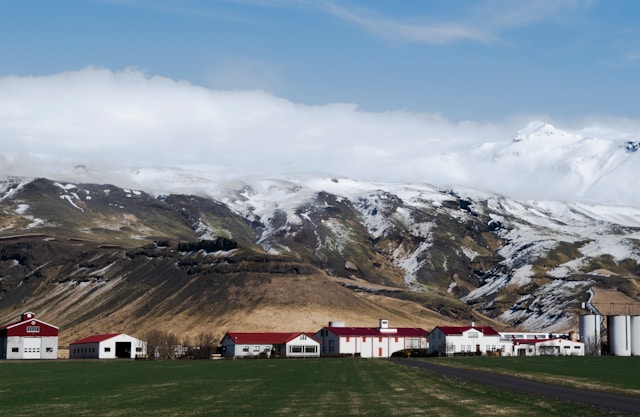 Höfn