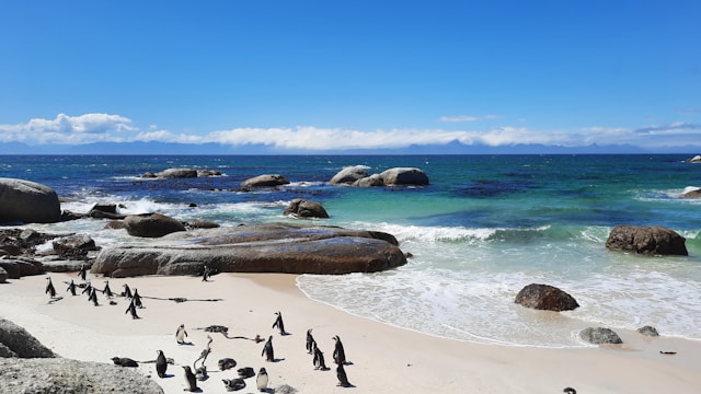 Ocean Safaris South Africa