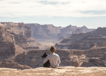 Pet-Friendly Travel tips