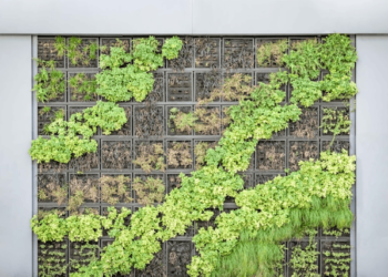 Build Vertical Garden