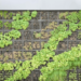 Build Vertical Garden
