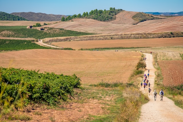 Camino de Santiago Spain