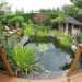 Create Backyard Oasis