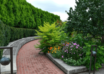 Easy Landscaping Ideas