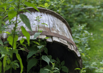Installing Rain Barrel