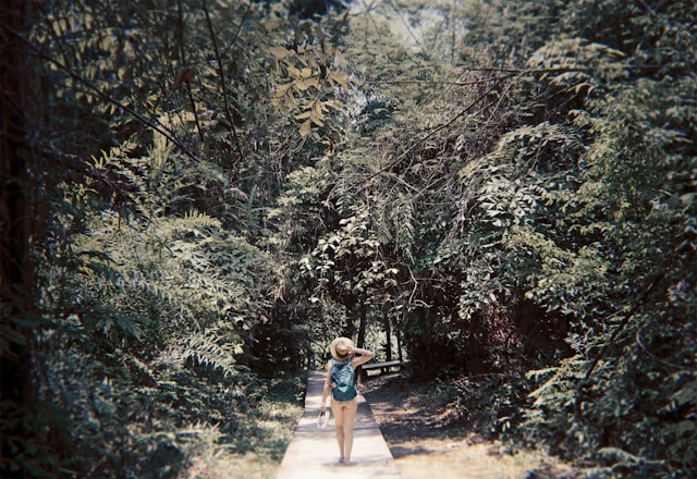 Jungle Trekking in Borneo