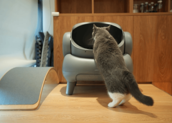 Choose Litter Box