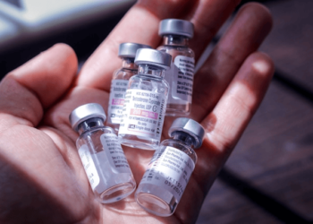 Pet Essential Vaccines