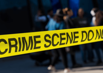 Why Crime Dramas Are Addictive