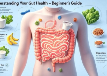 Understanding Your Gut Health – Beginner’s Guide to a Healthier You
