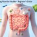 Understanding Your Gut Health – Beginner’s Guide to a Healthier You