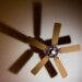 Best Ceiling Fans