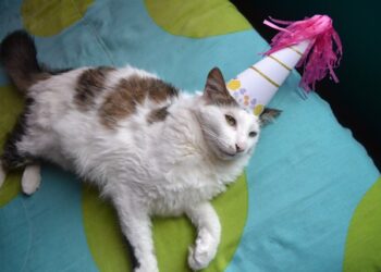 Celebrate Pet’s Birthday
