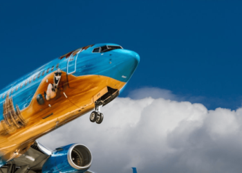 traveling with pets on a plane