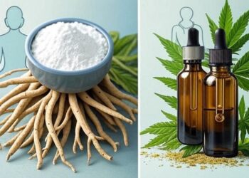 Ashwagandha vs CBD – What’s Better for Anxiety? | Expert Guide